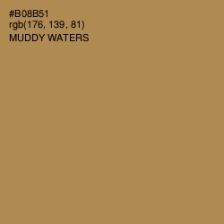 #B08B51 - Muddy Waters Color Image